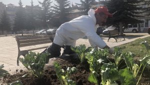 Kars'ta havuzların etrafı çiçekleniyor