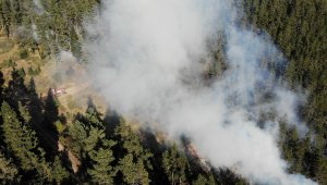 Kastamonu ormanları 4 gündür yanıyor