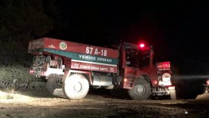 Kastamonu'da ormanlık alanda çıkan yangın güçlükle kontrol altına alınabildi