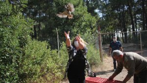 Kemer'de 240 Kınalı Keklik doğaya salındı