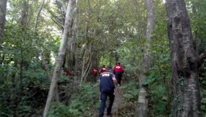 Kestane toplamak için evden ayrılan yaşlı kadından haber alınamıyor