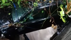 Kocaeli'de taşan derenin sürüklediği otomobil ağaçta asılı kaldı
