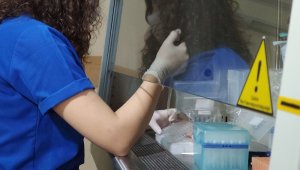 Korona virüse yapay zekalı analiz yöntemi