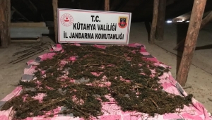 Kütahya'da uyuşturucu operasyonu: 2 gözaltı