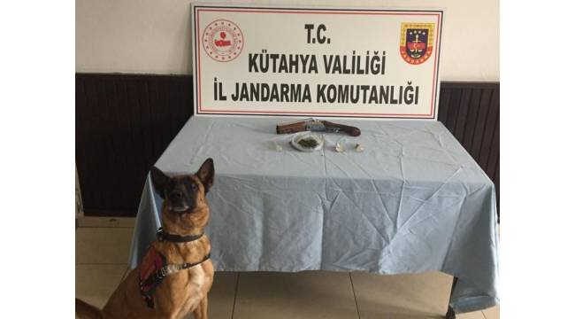 Kütahya'da uyuşturucu operasyonu