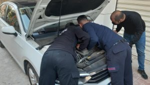 Lüks otomobilin motoruna sıkışan kedi kurtarıldı