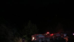 Mersin'deki orman yangını kontrol altına alındı