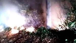Ordu'da ormanlık alanda yangın