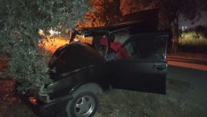 Otomobil zeytin ağacına çarptı: 1 ağır yaralı