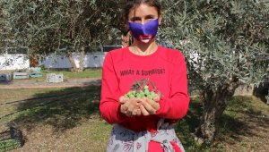 Özel öğrencilerden zeytin hasadı