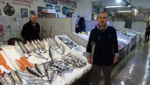 Palamut fiyatıyla cep yakıyor