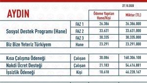 Pandemi sürecinde Aydın'a 386 milyon TL destek