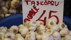 Pazarın şampiyonu 'sarımsak'