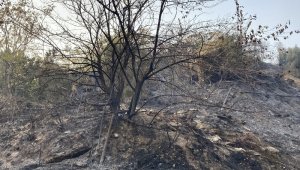 Samandağ'daki yangın kontrol altına alındı