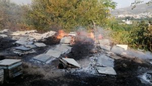 Samandağ'daki yangın sigara izmaritten çıkmış