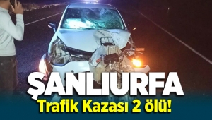 Şanlıurfa Ceylanpınar'da trafik kazası: 2 ölü