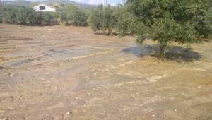 Şarköy'de hortum sonrası yaşanan selde evleri su bastı