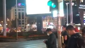 Sokak köpeği yolun karşısına geçmek için yeşil ışığı bekledi