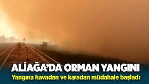 Sondakika Aliağa'da Orman yangını