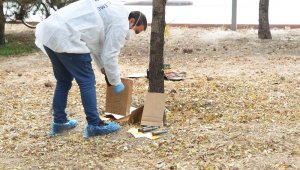 Temizlik yaparken uçaksavar mermileri buldu
