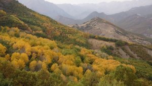 Tunceli'de sonbahar güzelliği renk cümbüşü sunuyor