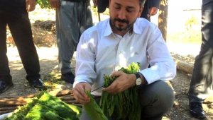 Tütün mamullerinde en az yüzde 30 yerli tütün kullanılacak