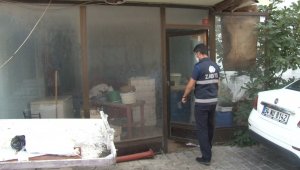Tuzla'da yaklaşık bir ton çürümüş balık yakalandı