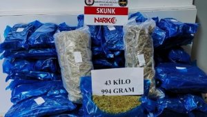 Yalova Polisi binlerce genci zehirleyecek uyuşturucu ele geçirdi