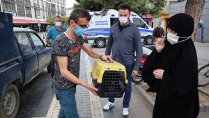 Yaralı sokak kedisi tedavi altına alındı