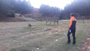 Yaşlı çifti arama çalışmaları sürüyor