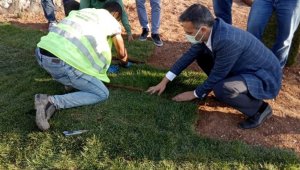 Yeşilyurt Belediyesi tarımsal üretim ve ar-ge sahasında 15 bin metrekare rulo çim üretildi