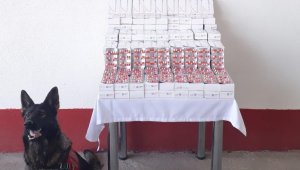 Yolcu otobüsü ile uyuşturucu getiren zanlı yakalandı