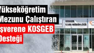 Yükseköğretim mezunu çalıştıran işverene KOSGEB desteği