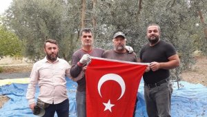 Zeytin hasadında Cumhuriyet Bayramı kutlaması