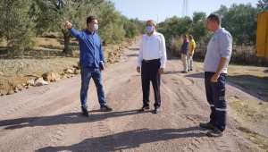 Zeytinlikler arası yollara neşter