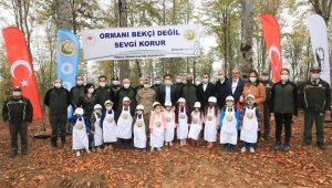 Amasya'da orman gençleştirme çalışması