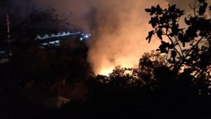 Antalya'da korkutan yangın