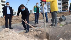 Başkan Baydilli park çalışmalarını inceledi