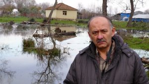 Botanik Profesörü korona virüs kurbanı