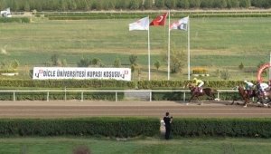 Dicle Üniversitesi rektörlük koşusunun 4.'sü gerçekleşti