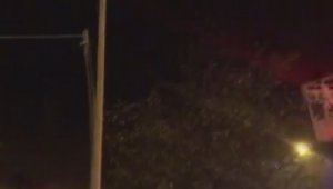 Direkte mahsur kalan kedinin yardımına itfaiye koştu