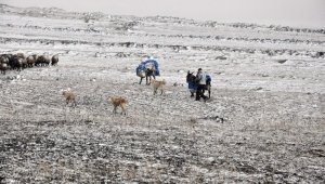 Doğu'da hava sıcaklığı düştü yüksek kesimlerde kar bekleniyor