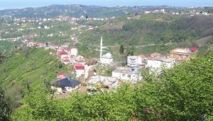 Eynesil'de bir mahalle karantinaya alındı