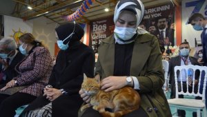 Genç Vekil'den korona reçetesi
