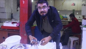 Giresun'da yerli hamsi tezgahlarda yerini 20 TL'den aldı