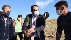 Güldünya'nın ismi Toroslar'da yaşayacak