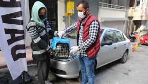 Hasta kedinin yardımına İlkadım ekipleri koştu