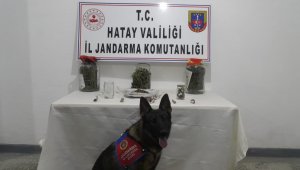 Hatay'da uyuşturucu operasyonu: 1 tutuklama