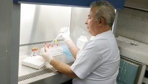 İneklerdeki 3 gün hastalığı için yeni aşı umudu