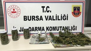 Jandarmadan uyuşturucu operasyonu